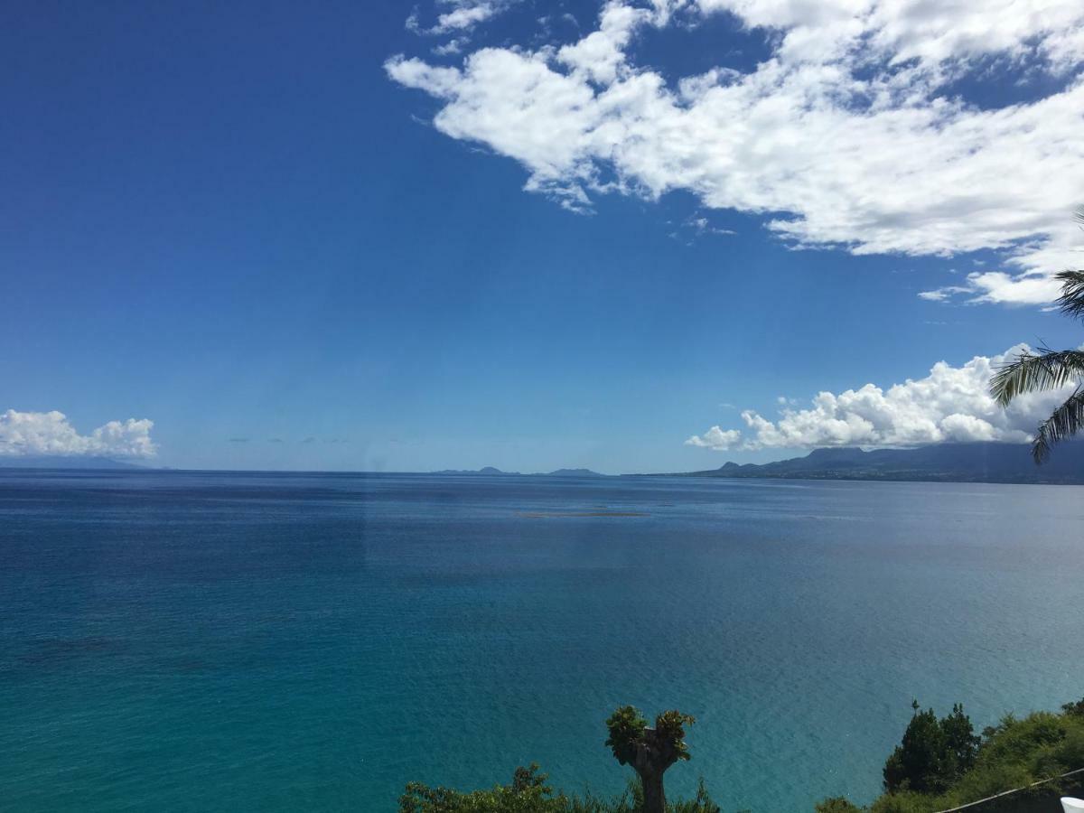 Studio Cozy Melissa Elegance - Guadeloupe , Le Gosier , Dampierre - Avec Pleine Vue Mer - Ocean A 180 Degres Eksteriør billede